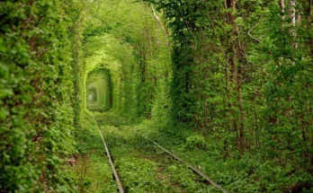 Tunnel Of Love, Ucrânia